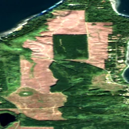 Jefferson County in 2020