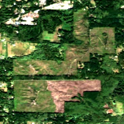 Kitsap County in 2020