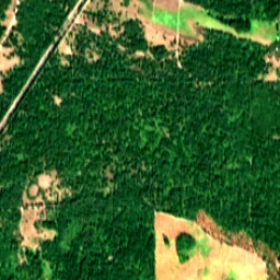 Pierce County in 2019
