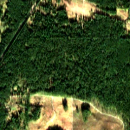 Pierce County in 2020