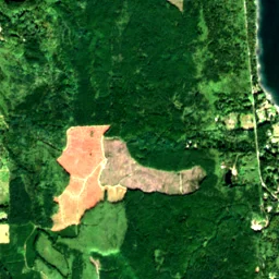 Kitsap County in 2020