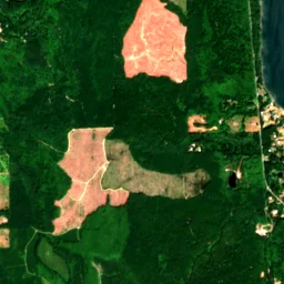 Kitsap County in 2021