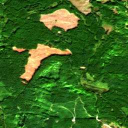 Snohomish County in 2017
