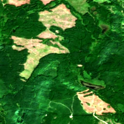 Snohomish County in 2019