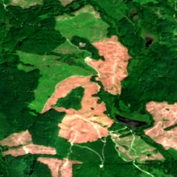 Snohomish County in 2022