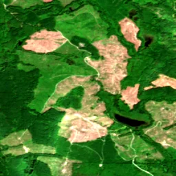 Snohomish County in 2024