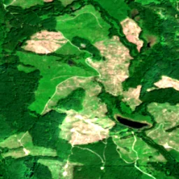 Snohomish County in 2025