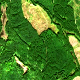 Snohomish County in 2017