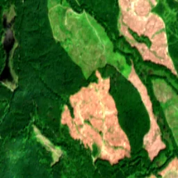 Snohomish County in 2019
