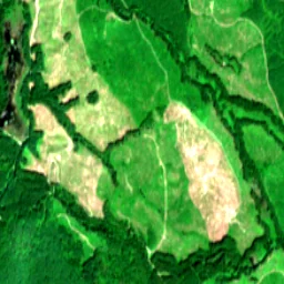 Snohomish County in 2025