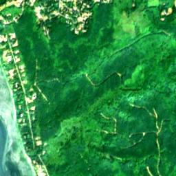 Hansville in 2018
