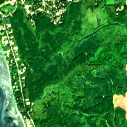 Hansville in 2019