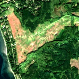 Hansville in 2020