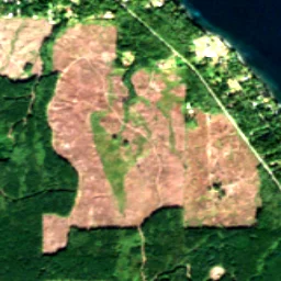 Jefferson County in 2020