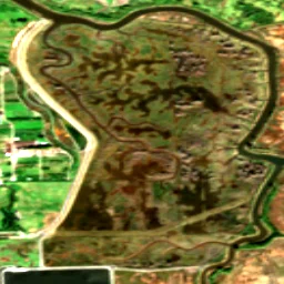 Snohomish County in 2020