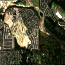 South Hill in 2020