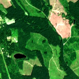 King County in 2019