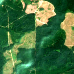Pierce County in 2017