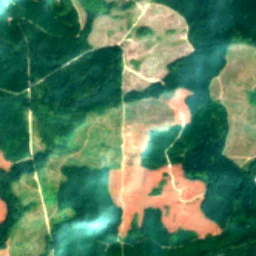 Pierce County in 2018