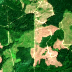 Pierce County in 2019