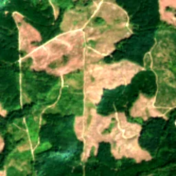 Pierce County in 2021
