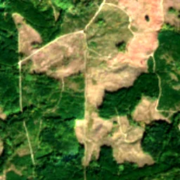 Pierce County in 2023