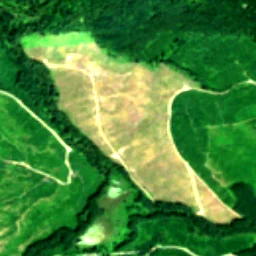 Fall City in 2024