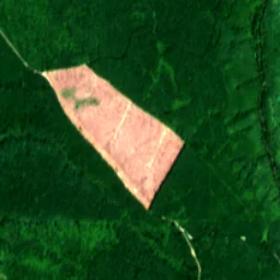 Pierce County in 2019