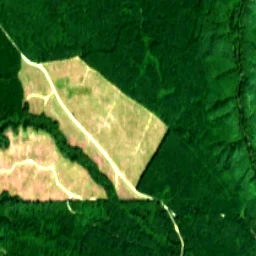 Pierce County in 2022