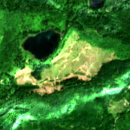 Snohomish County in 2019