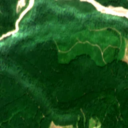 Pierce County in 2017