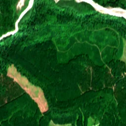 Pierce County in 2019