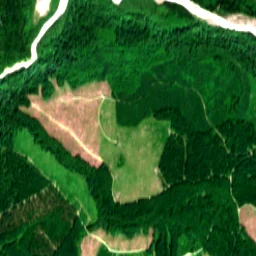 Pierce County in 2024