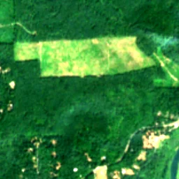 King County in 2017