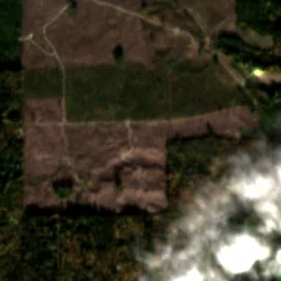 King County in 2020