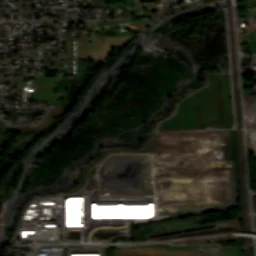 Sumner in 2020