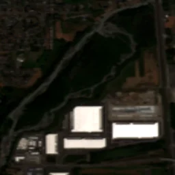 Sumner in 2022
