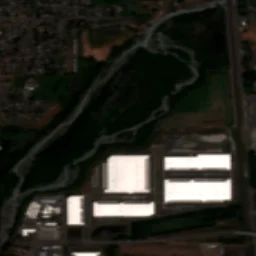 Sumner in 2024