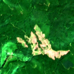 King County in 2019