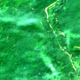 Pierce County in 2017