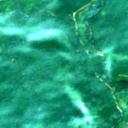 Pierce County in 2018