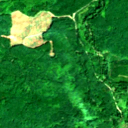 Pierce County in 2019