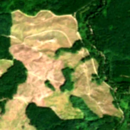 Pierce County in 2022
