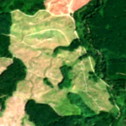 Pierce County in 2024