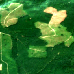 King County in 2017