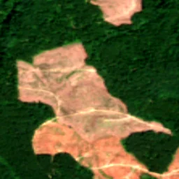 Snohomish County in 2021