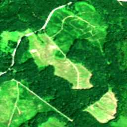 King County in 2019