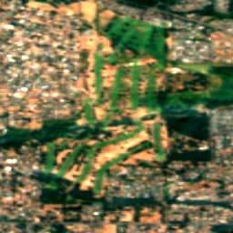 Parkland in 2017