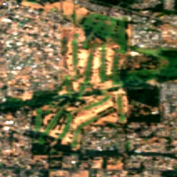 Parkland in 2018
