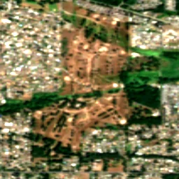 Parkland in 2019